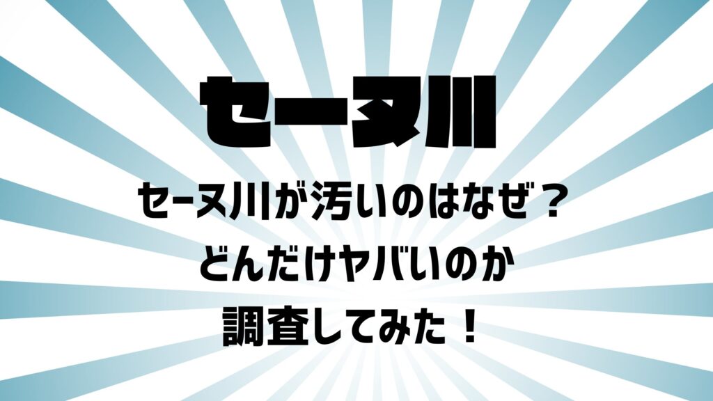 セーヌ川が汚いのはなぜ？どんだけヤバいのか調査してみた！